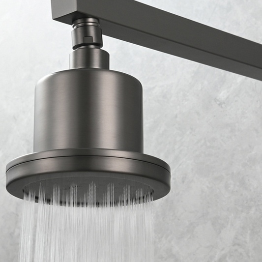 Copper Top Spray Shower Head with Filter